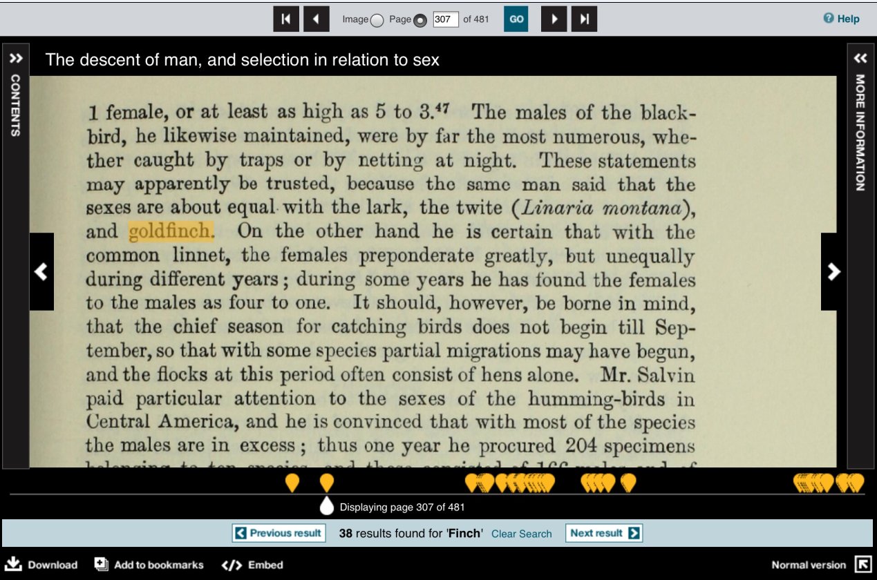 Figure 3: Highlighting of search terms and search-term navigation for text-based content